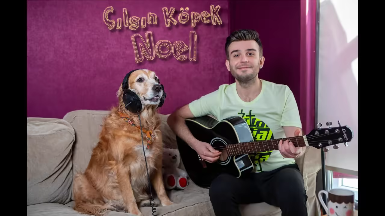 Ari Aliciyan feat. Noel - Crazy Dog Noel