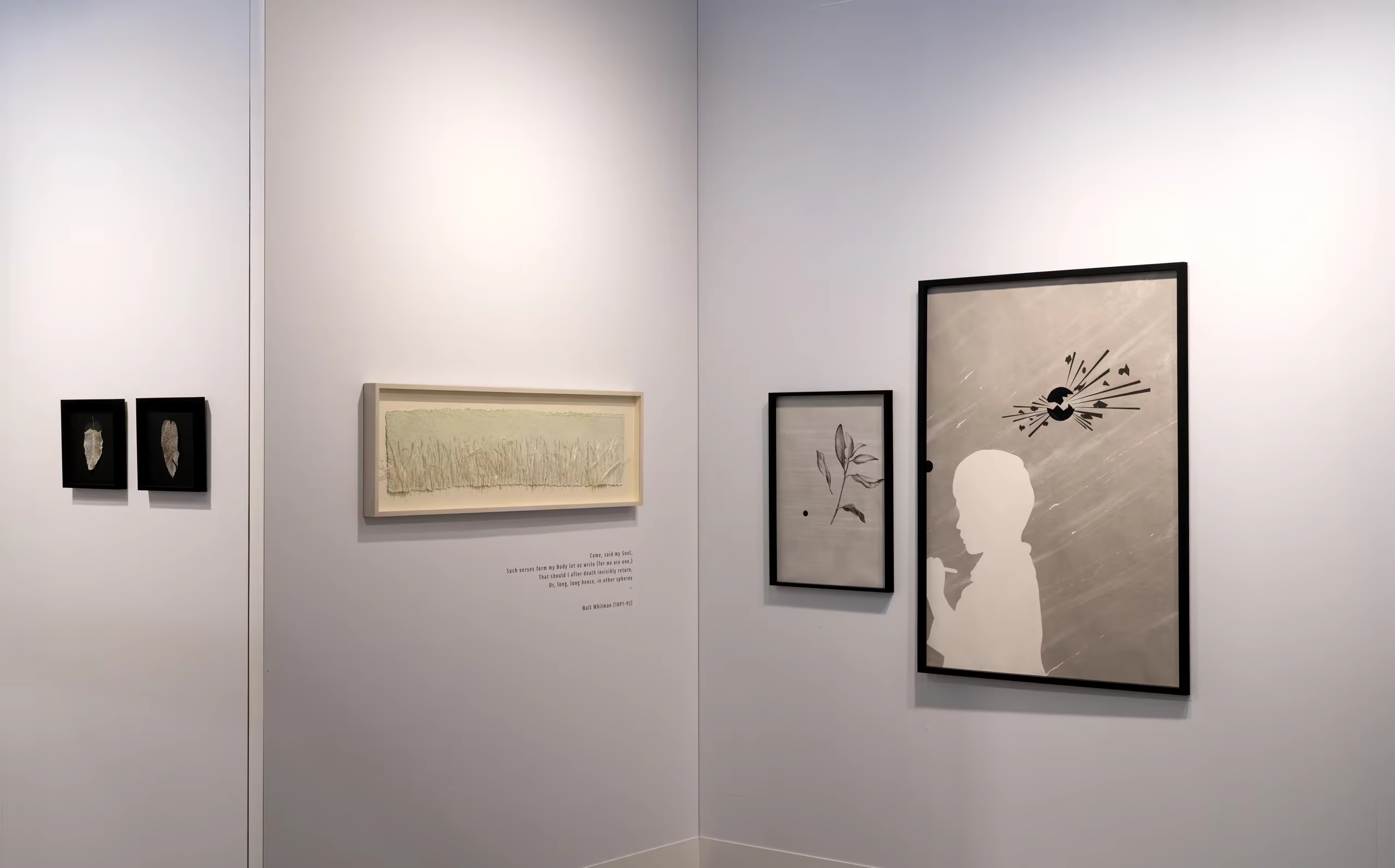 Sağ Köşe Perspektifi ve Galeri Işığı